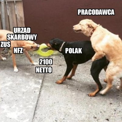 Wiadomości z kraju i ze świata-placewpolscexd.jpg