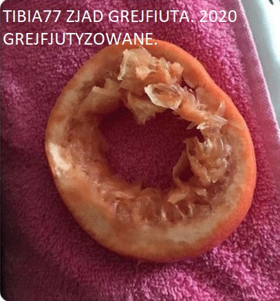 Tibiantis - start 4 IV 2020 16:00!-mom-eats-grapefruits-weird-dopl3r-com-memes-53317265.jpg