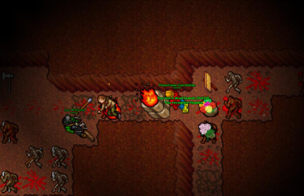 Zdjęcia waszych przygud-10-druiddd.jpg