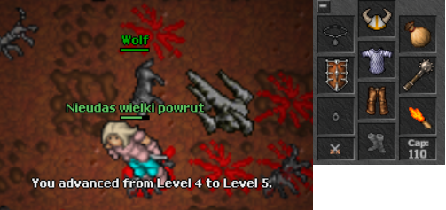 Zdjęcia waszych przygud-rokgard.png