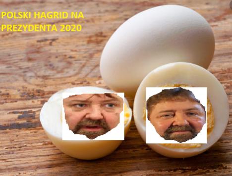 Wybory Prezydenta RP 2020-rzultko.jpg