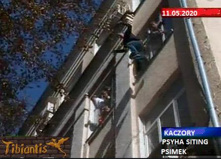 Fan Klub of Tibiantis-psychasitink.jpg