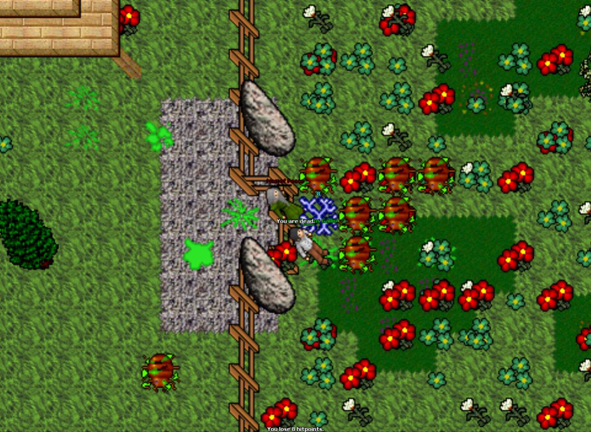 Zdjecia z pszygut graczy RPG-rybkak.jpg