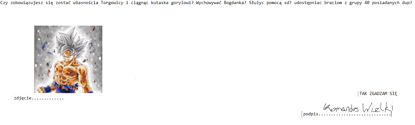 Zdjęcia waszych przygud-komandoz.png