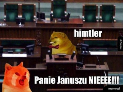 Wybory Prezydenta RP 2020-himtler.jpg