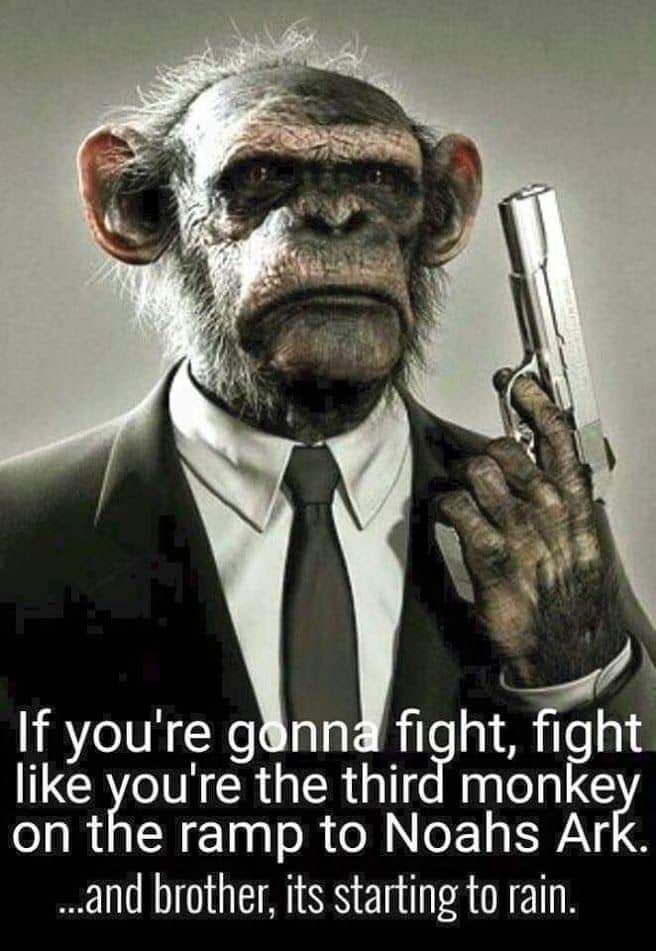 Torgowa gildia -Torgowica- temat ogólny-monke-gangsta.jpg