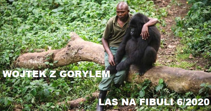 Torgowa gildia -Torgowica- temat ogólny-5ce69360-ef39-11e9-ab90-a3ca73466abb_800_420.jpeg