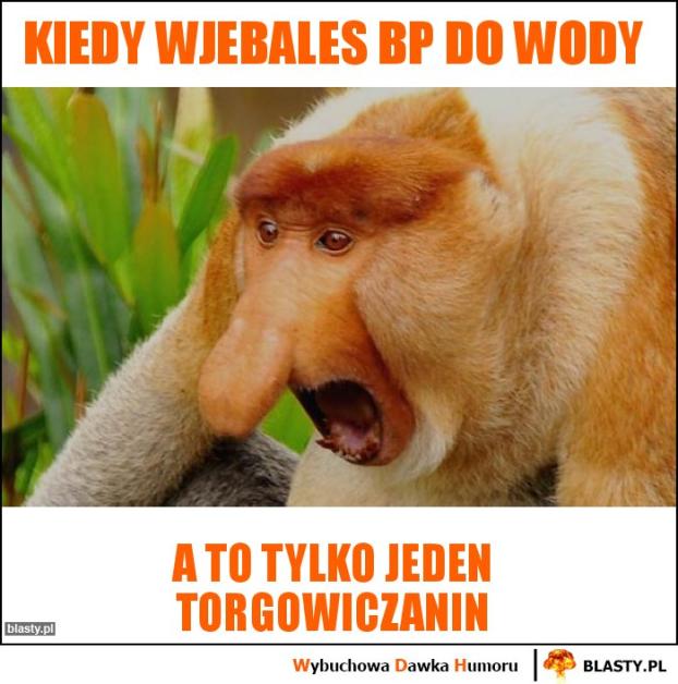 Torgowa gildia -Torgowica- temat ogólny-torgowiciaa.jpg