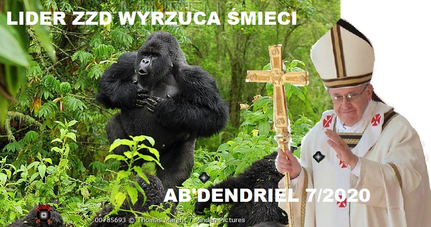 Torgowa gildia -Torgowica- temat ogólny-monkey-run.jpg