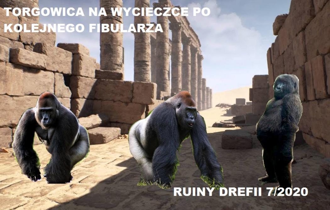 Torgowa gildia -Torgowica- temat ogólny-maxresdefault.jpg
