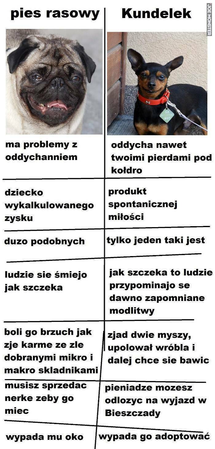 Wybory prezydenckie 2020 - II tura-main_no_name1572094796-4.jpg