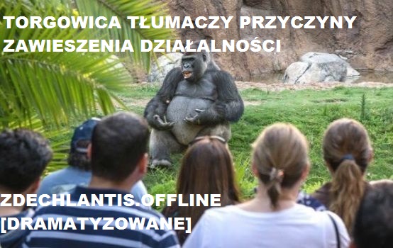 Torgowa gildia -Torgowica- temat ogólny-tlum.jpg