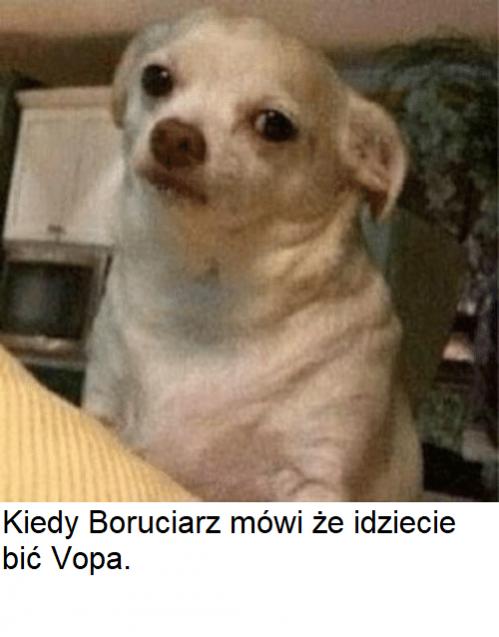 Torgowa gildia -Torgowica- temat ogólny-sad-judging-dog-memes-51807834.jpg