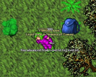 Lamusini life thread-62.jpg