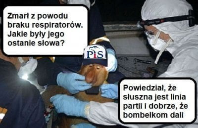 Koronawirus SARS-CoV-2 (COVID-19)-coronaofiara.jpg