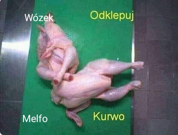 Zdjęcia waszych przygud-psorek-melfo.jpg