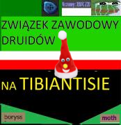 Czapkie-t4mr16e.png