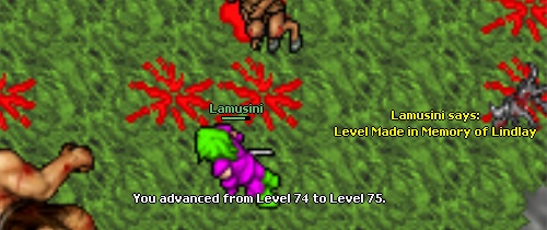 Lamusini life thread-75.jpg