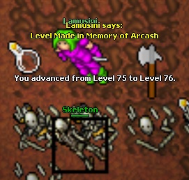 Lamusini life thread-76.jpg
