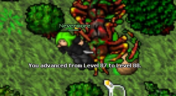 Screeny z Tibiantisa :-)-88.jpg