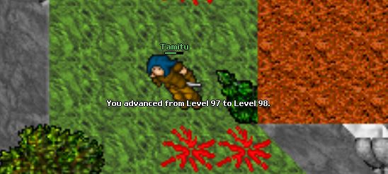 Screeny z Tibiantisa :-)-98.jpg