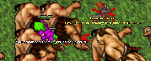Lamusini life thread-78.jpg