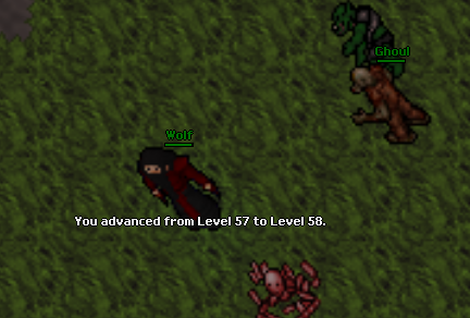 Screeny z Tibiantisa :-)-untitled.png