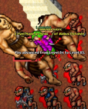 Lamusini life thread-85.jpg