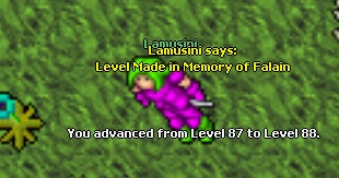 Lamusini life thread-88.jpg