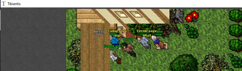 Screeny z Tibiantisa :-)-ssss.jpg