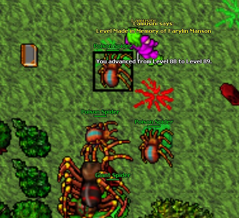 Lamusini life thread-89.jpg