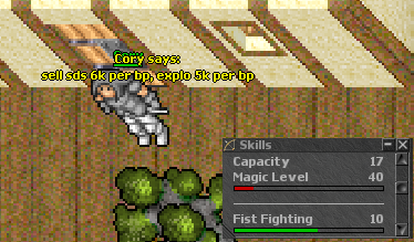 Screeny z Tibiantisa :-)-bez-tytulu.png