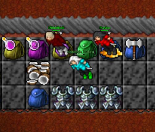 Screeny z Tibiantisa :-)-dafuq.jpg