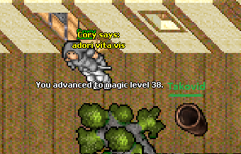 Screeny z Tibiantisa :-)-bez-tytulu.png