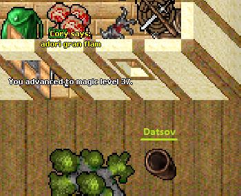 Screeny z Tibiantisa :-)-bez-tytulu.png