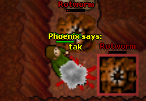 Screeny z Tibiantisa :-)-tak.png