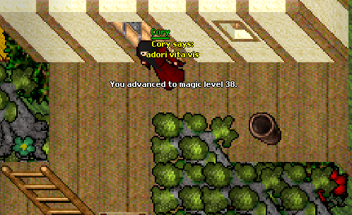 Screeny z Tibiantisa :-)-bez-tytulu.png