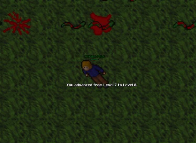 Screeny z Tibiantisa :-)-8-lvl.jpg