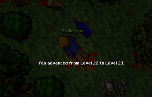 Screeny z Tibiantisa :-)-23-lvl.png