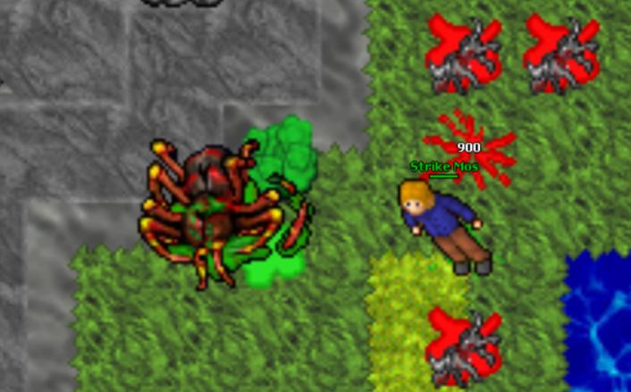 Screeny z Tibiantisa :-)-pajonk.jpg