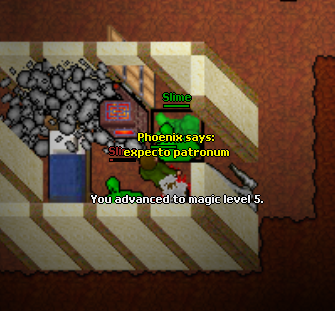Screeny z Tibiantisa :-)-5mlvl.png