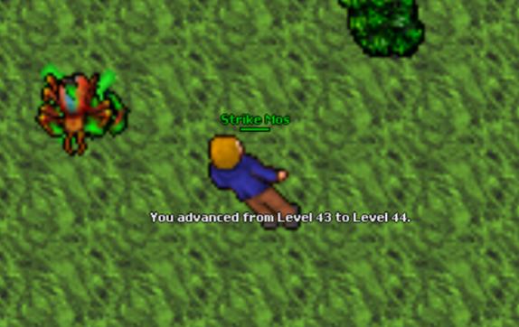 Screeny z Tibiantisa :-)-44-lvl.jpg