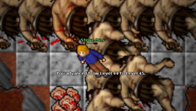 Screeny z Tibiantisa :-)-45-lvl-po-raz-2.jpg