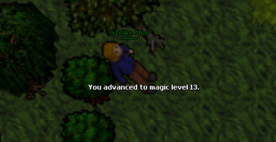 Screeny z Tibiantisa :-)-13-mlvl.png