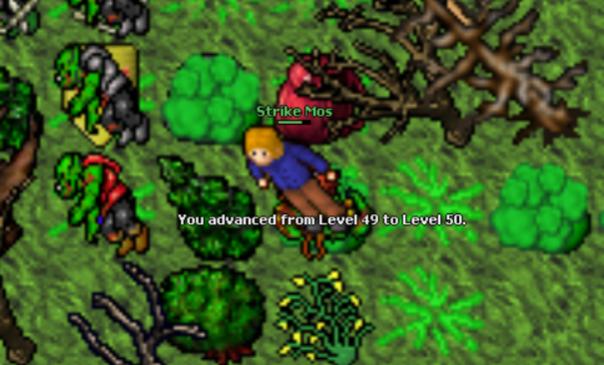 Screeny z Tibiantisa :-)-50-lvl.jpg
