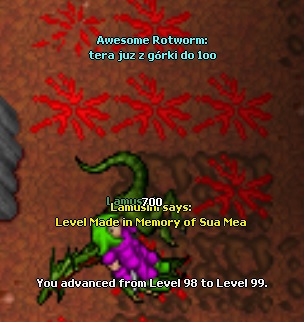 Lamusini life thread-99.jpg