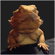 POWRÓT GORYLLA-avatar-9-.png