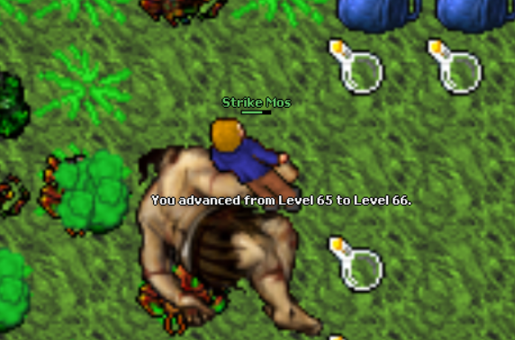 Screeny z Tibiantisa :-)-66-lvl.png