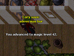 Screeny z Tibiantisa :-)-zajpvtv.png