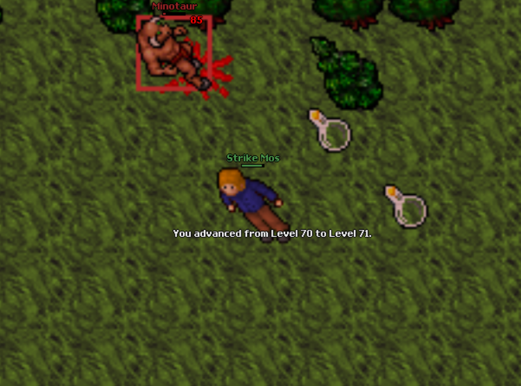 Screeny z Tibiantisa :-)-71-lvl.png
